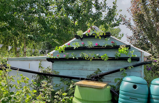 Vertical Garden in the Gutter